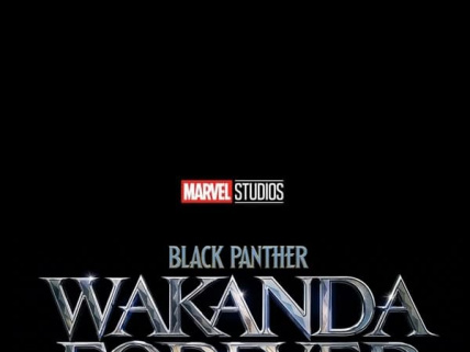 Black panther: Wakanda forever